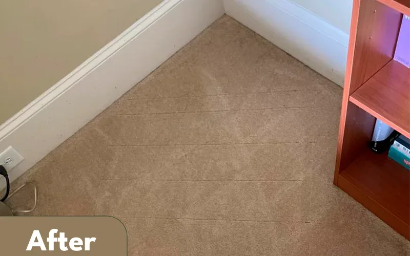 Carpet and baseboards cleaned by Lara Maids, after