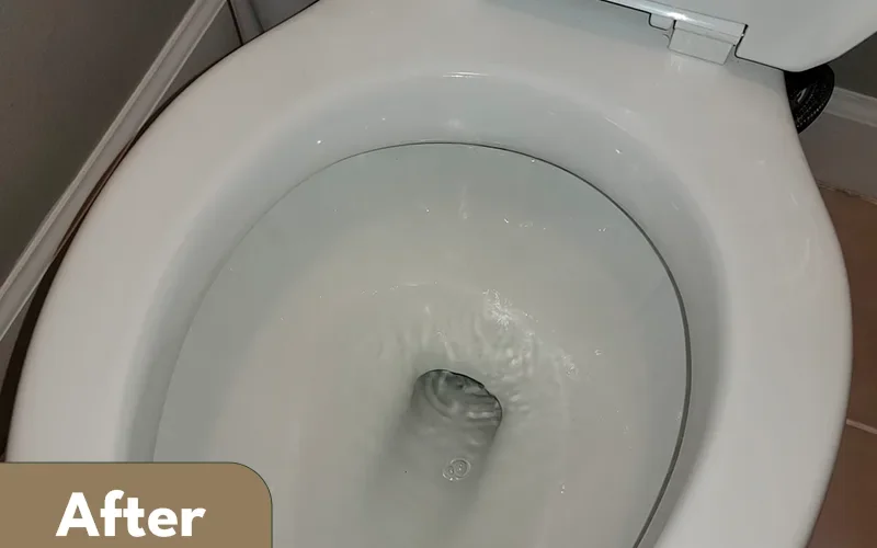 Toilet deep cleaned by Lara Maids, after