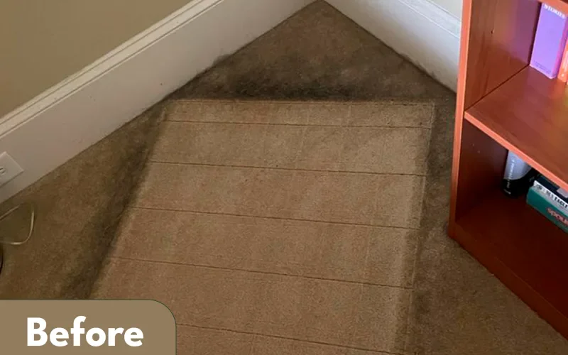 Carpet and baseboards cleaned by Lara Maids, before