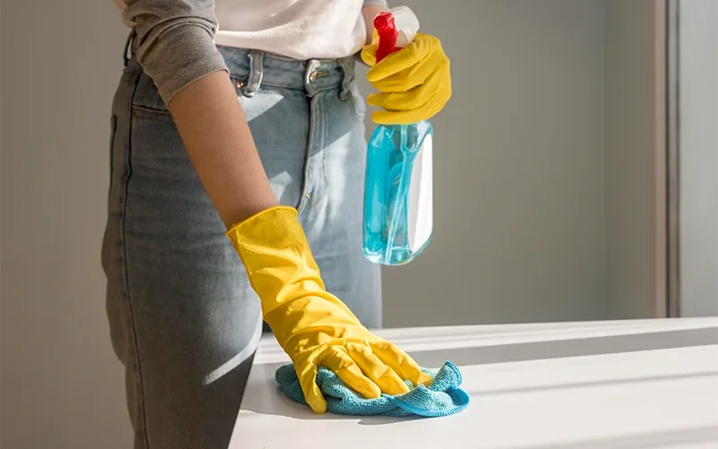Recurring House Cleaning by Lara Maids